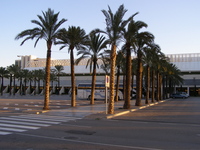 061226_03Mallorca_CY830.jpg